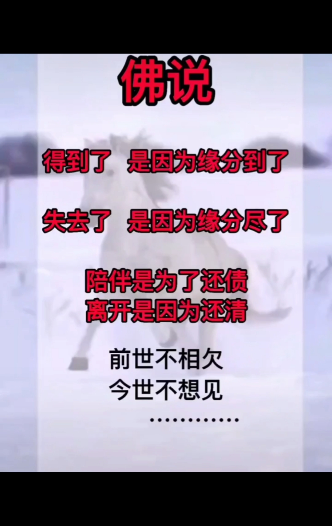 扎心情感语录#前世不相欠今生不相见