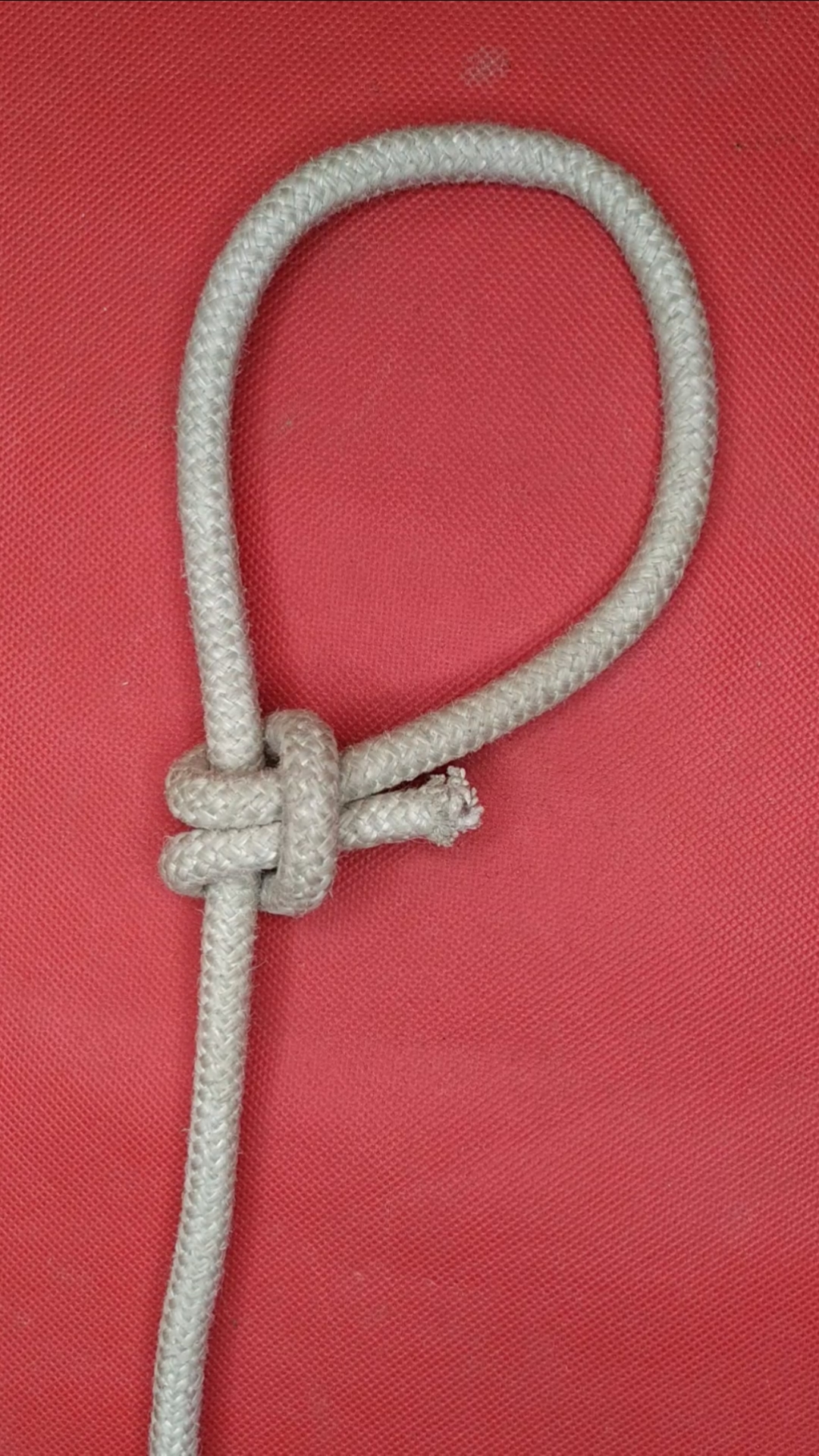 #实用绳结#单套抓结!