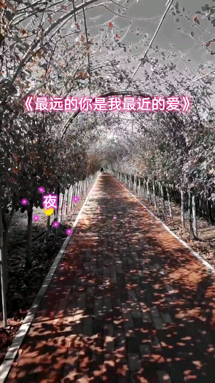 經典老歌人生風景在遊走每當孤獨我回首你的愛總在不遠地方等著我