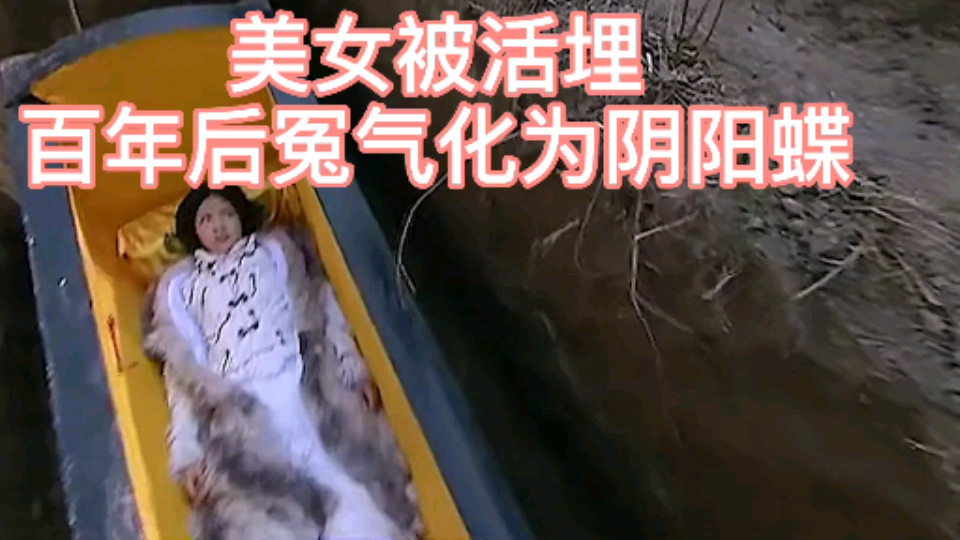 情感故事#美女被活埋,百年后冤气化为阴阳蝶!