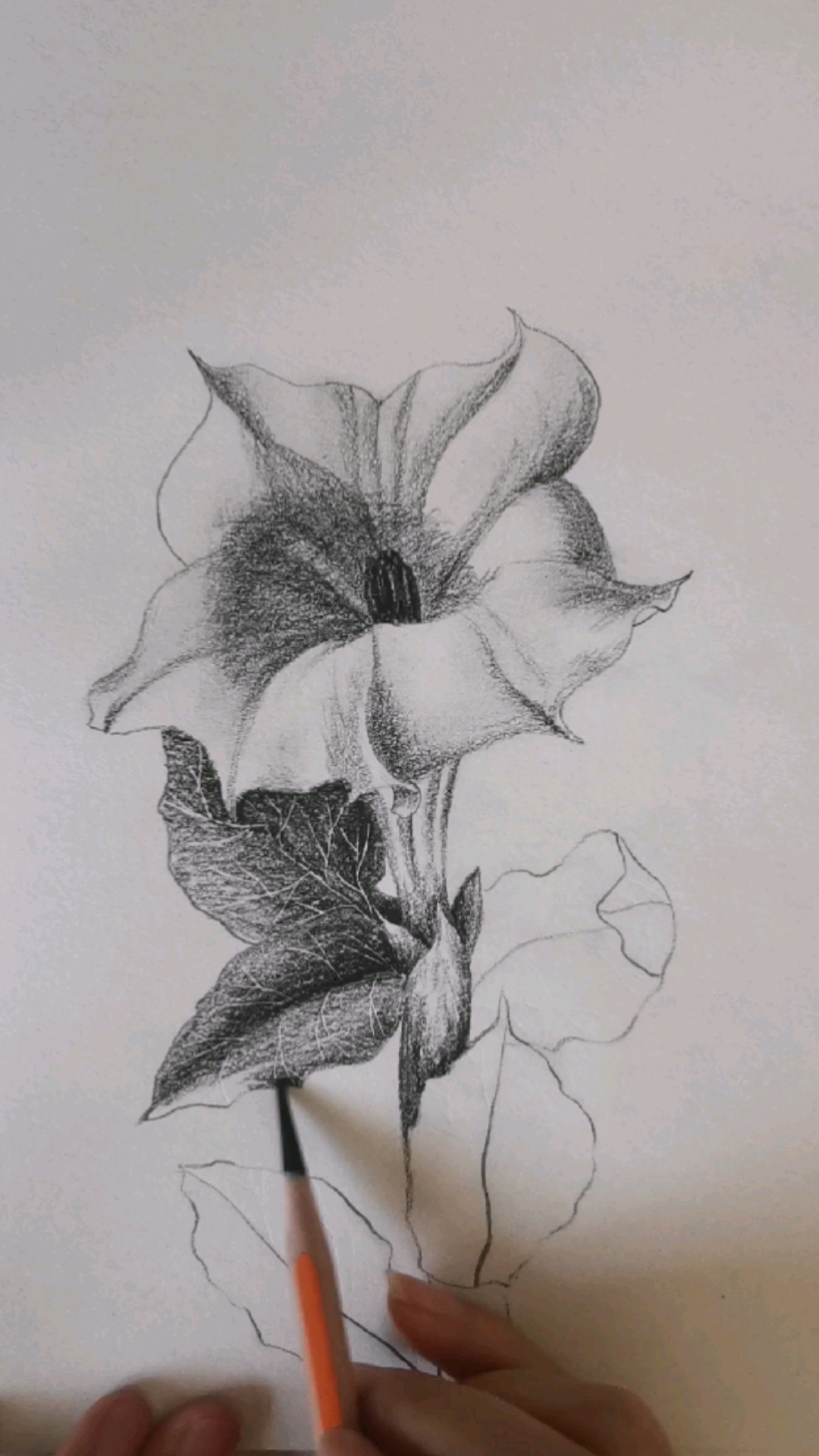 画画原来如此简单#绘画过程《白色曼陀罗》