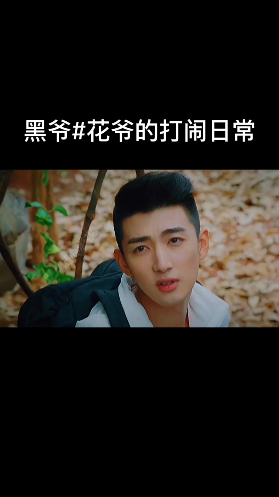 终极笔记黑爷x花爷的打闹日常#刘宇宁#刘昱晗-度小视