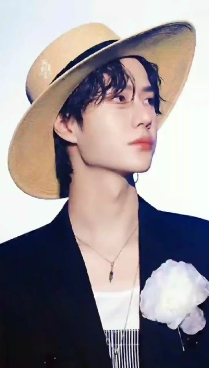 肖战王一博#王一博与肖战戴上帽子,你更喜欢谁多一点?