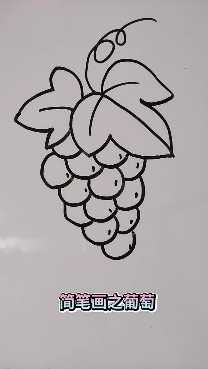 葡萄怎么画简笔画步骤图片