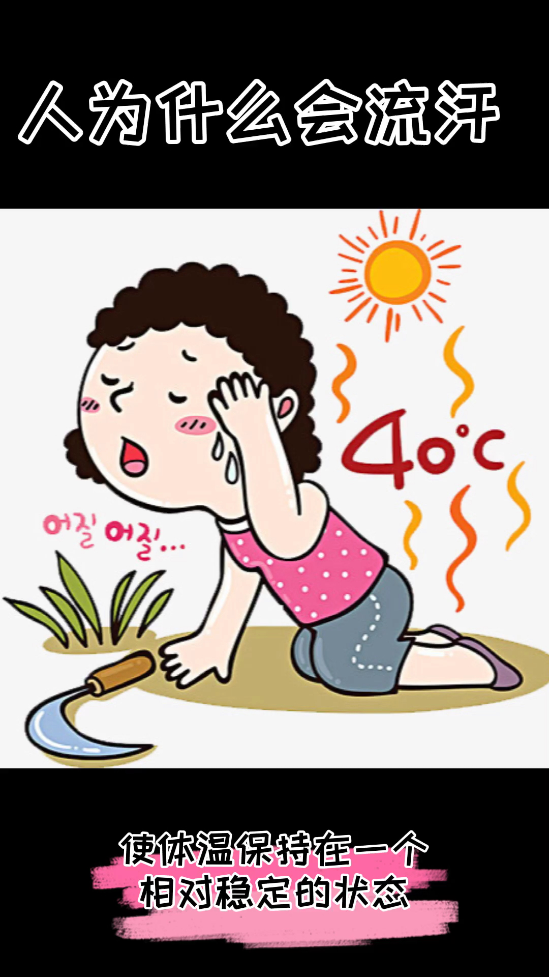 独竖一知##好知识#人为什么会流汗?