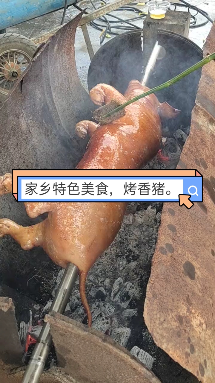 家乡特色美食家乡特色美食烤香猪