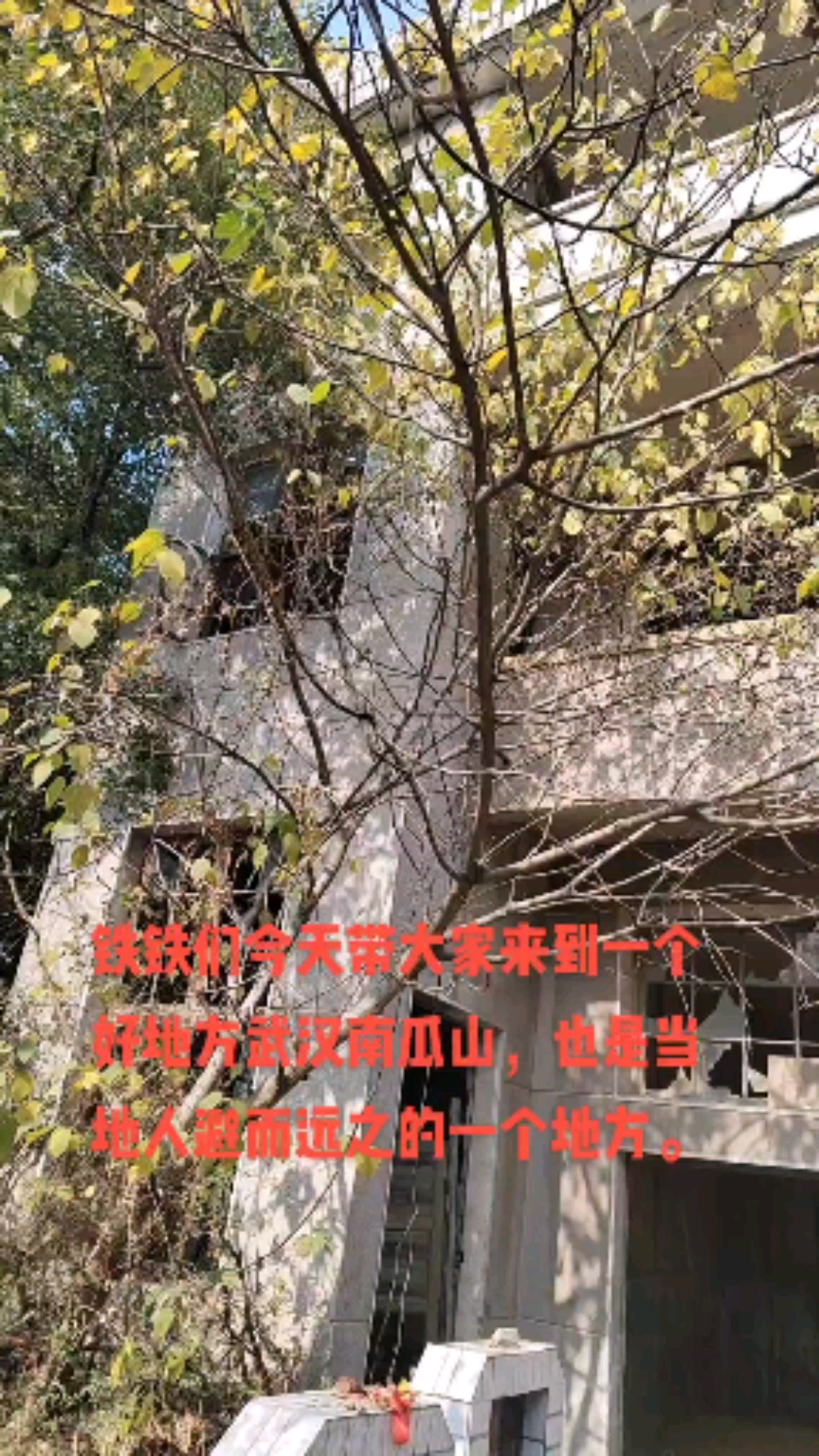 武汉南瓜山废弃火葬场图片