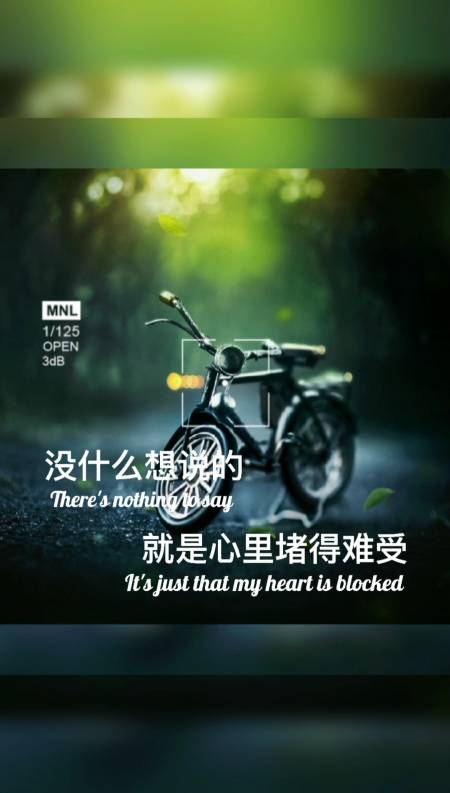 人生看似简单,却承受了太多情非得已,生活看似容易,却让你身不由己