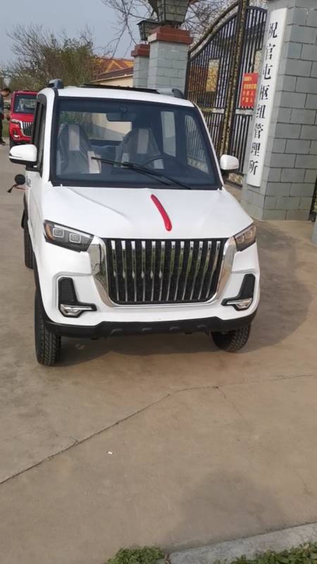 新款红旗小吉普五门四座油电两用