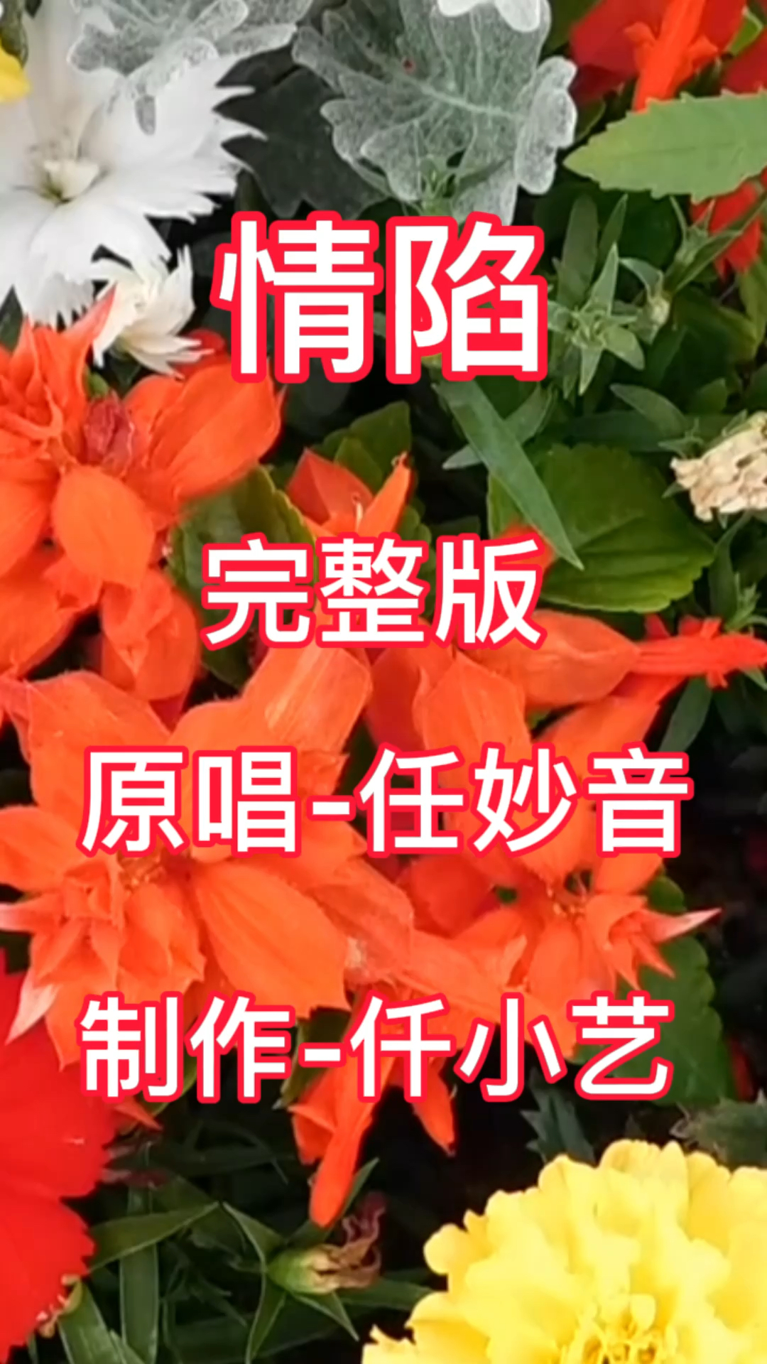 情歌经典歌曲影视歌曲任妙音情陷