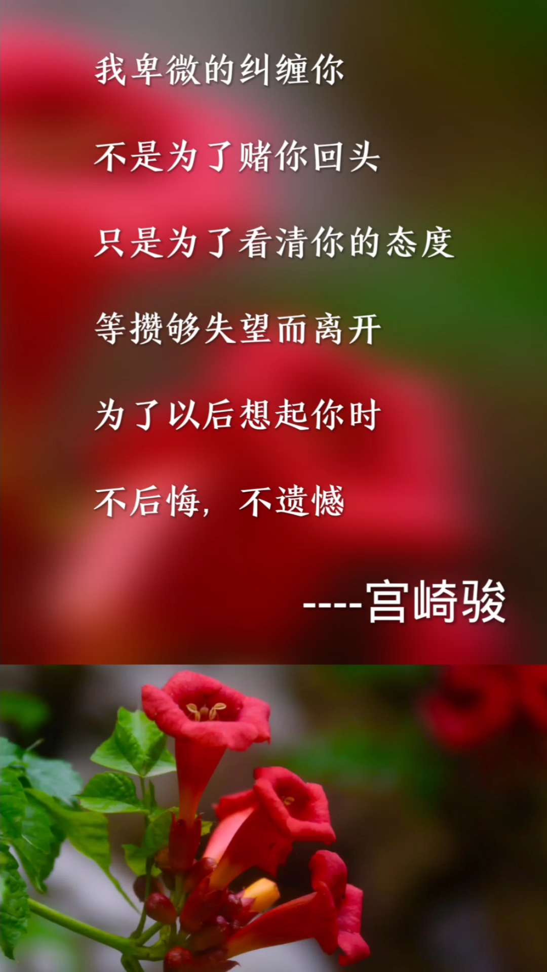 情感故事#我卑微的纠缠你,不是为了赌你回头