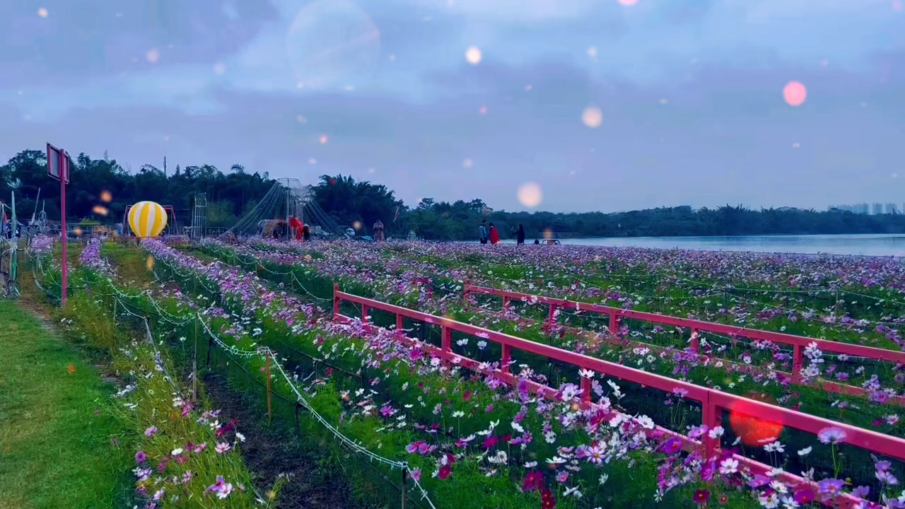 行摄:官桥村紫溪半岛,一个观光,休闲,让人开心的地方.