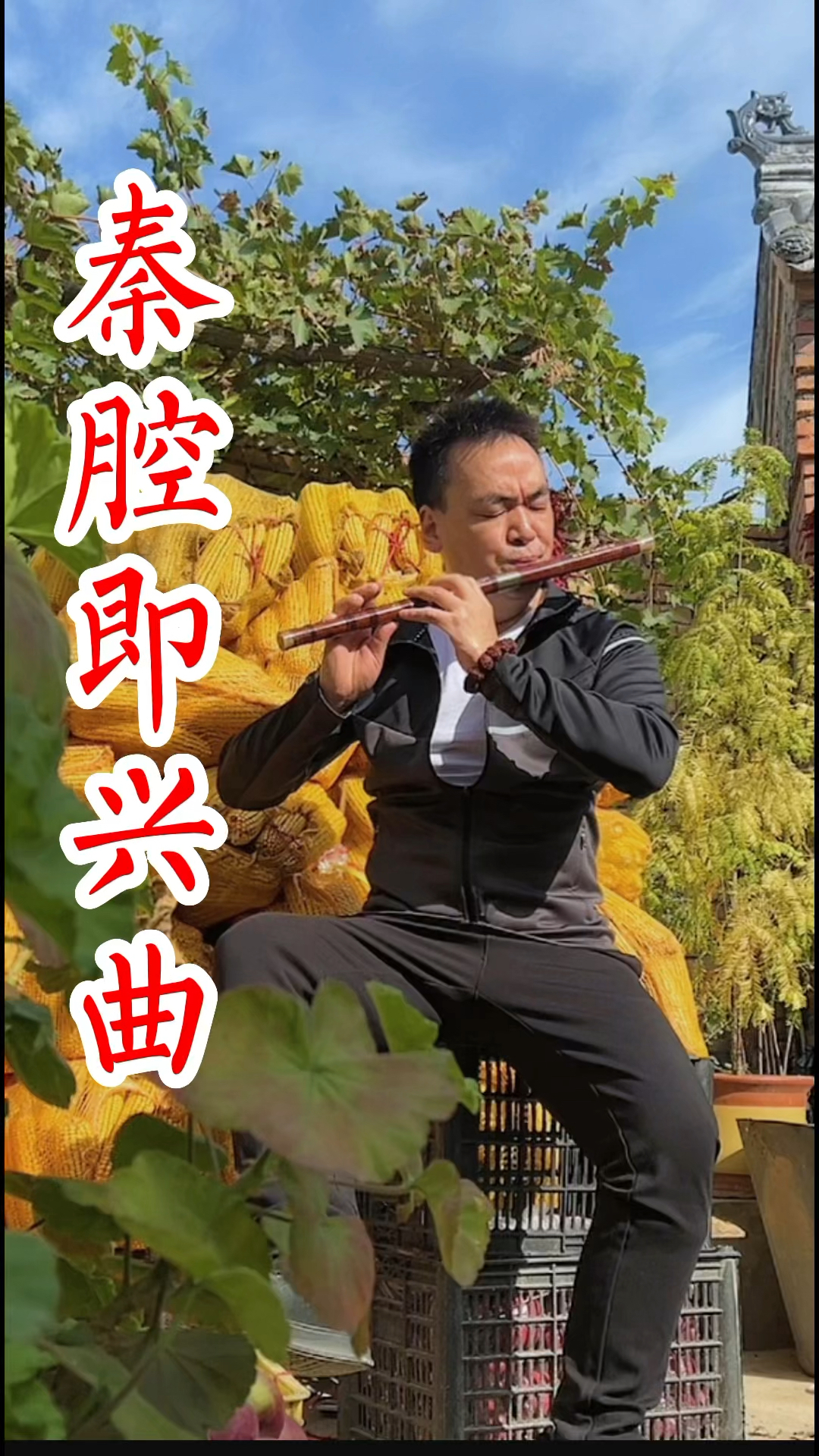 全民正能量#秦腔即兴曲