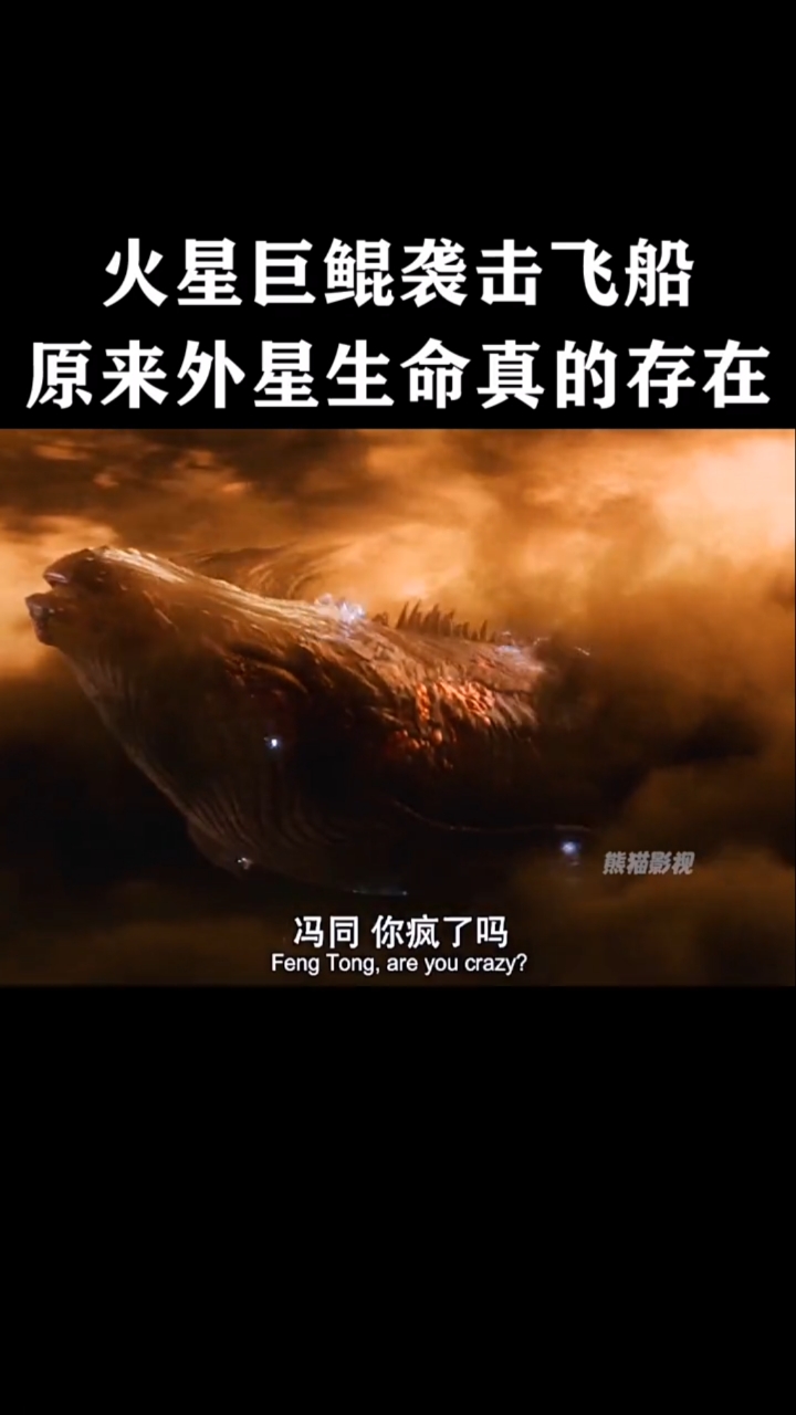 原来古人真没骗人,传说中的鲲真的存在