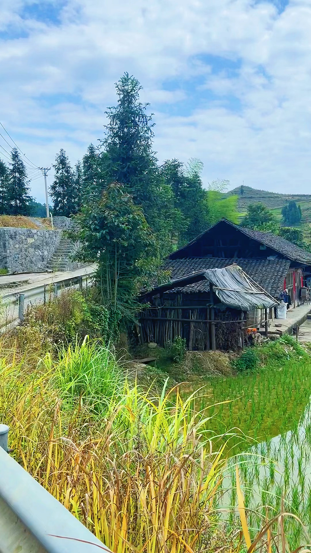 乡村生活穷人眼中的荒凉富人心里的天堂诗人笔下的远方游子心中的故乡