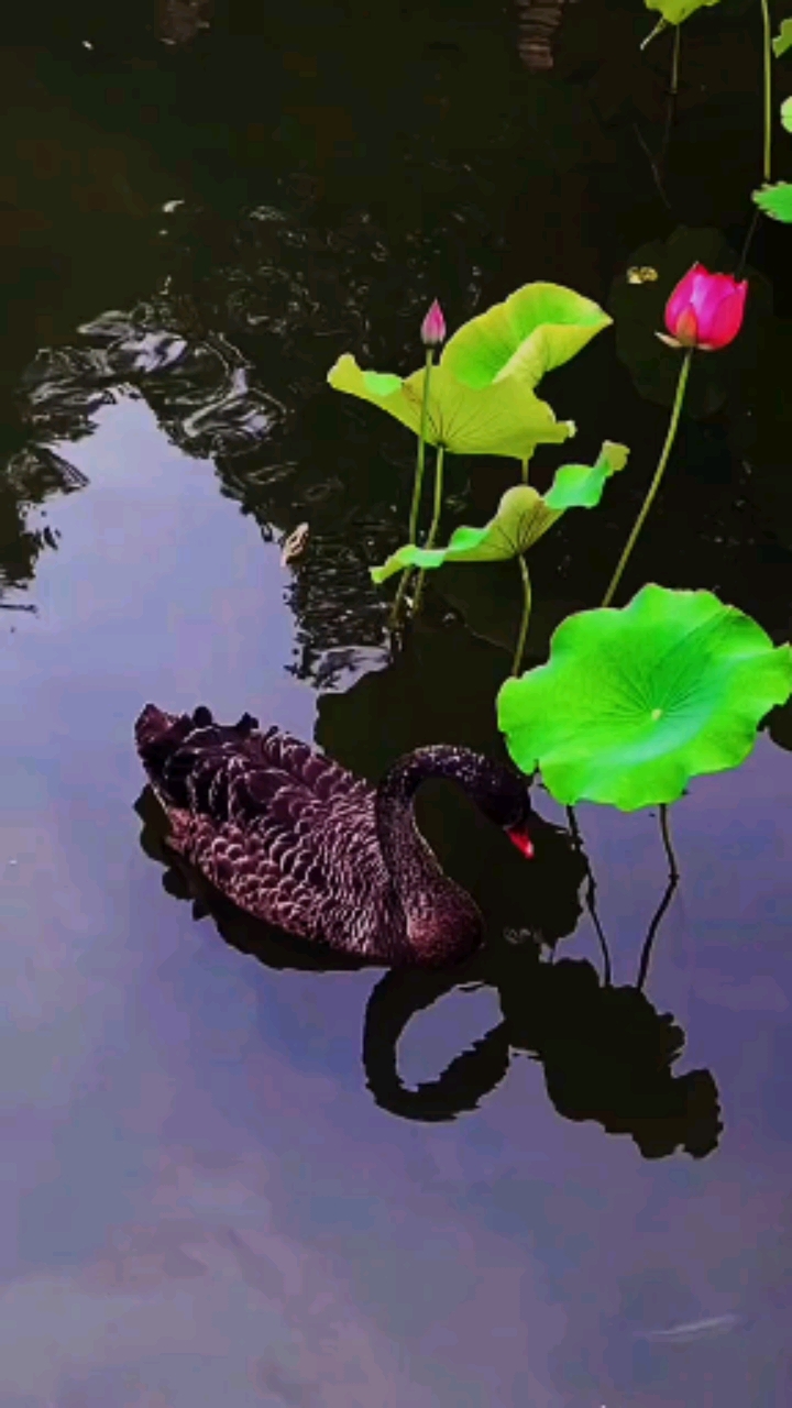 時間,會沉澱最真的情感;風雨,會考驗最暖的陪伴.