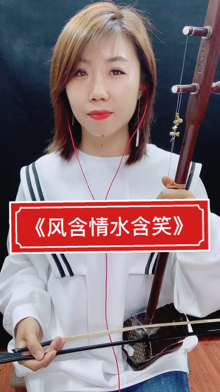 二胡经典老歌风含情水含笑