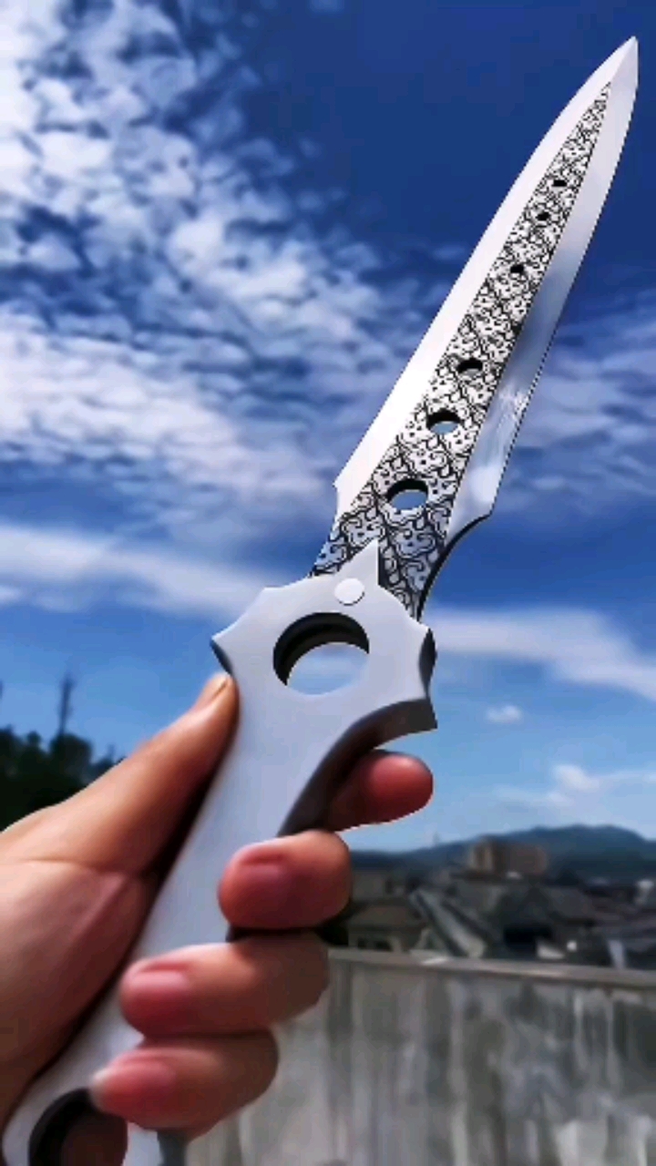 破壳计划#持剑走天涯龙泉手工小剑