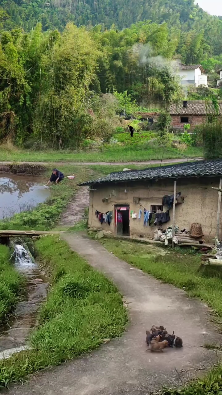 记录我的农村生活#住在这样一个小山村里,有爱人陪着,孩子有学上,但