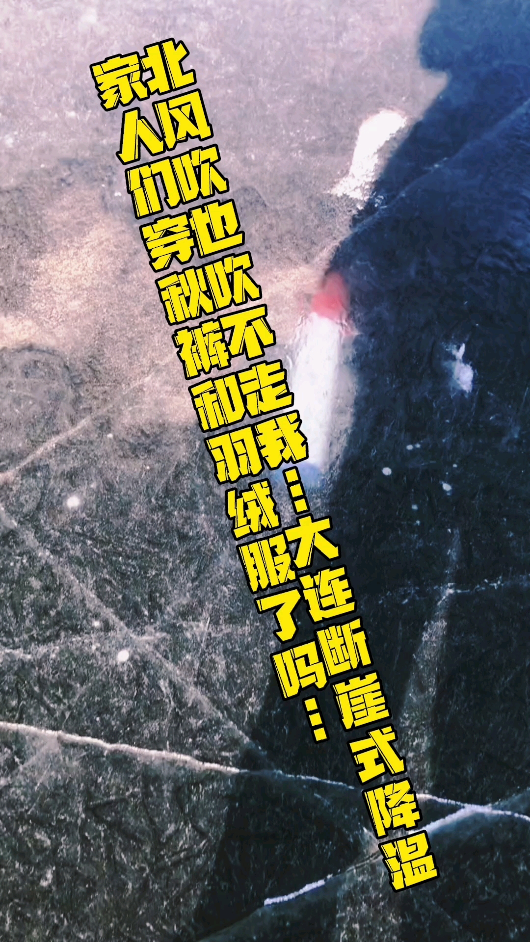 北风吹也吹不走我…大连断崖式降温家人们穿秋裤和羽绒服了吗