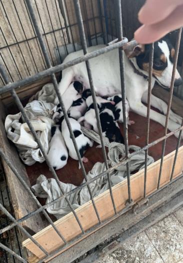 太仓办证q623791172猎