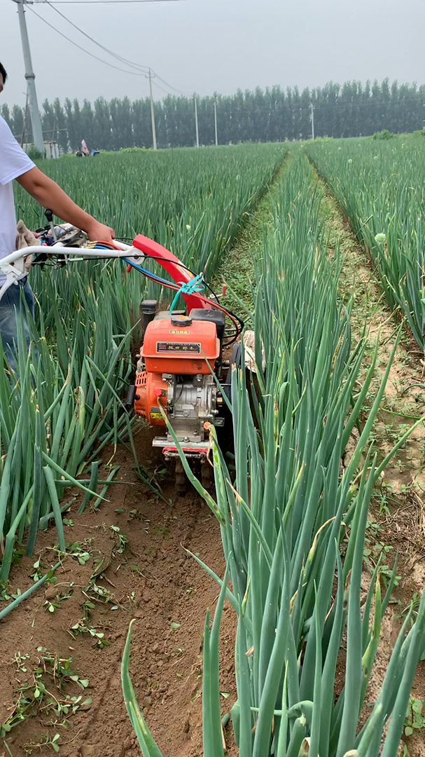 开沟培土机#新款大葱开沟培土机