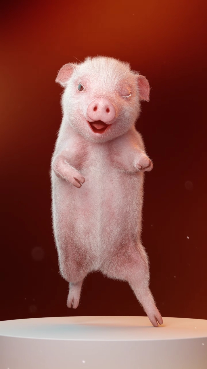 生日快乐#猪小迈一岁生日啦!