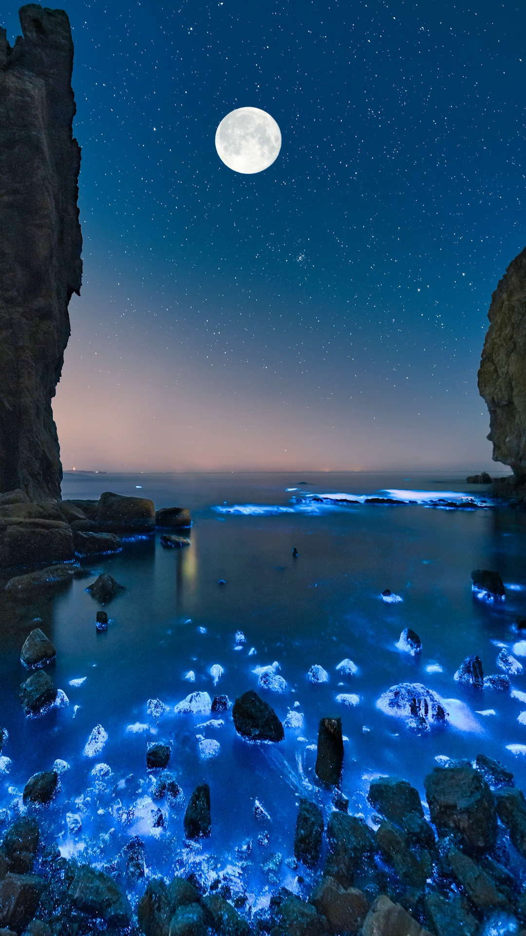 我的私藏景点#荧光海是由发光浮游生物夜光藻形成的