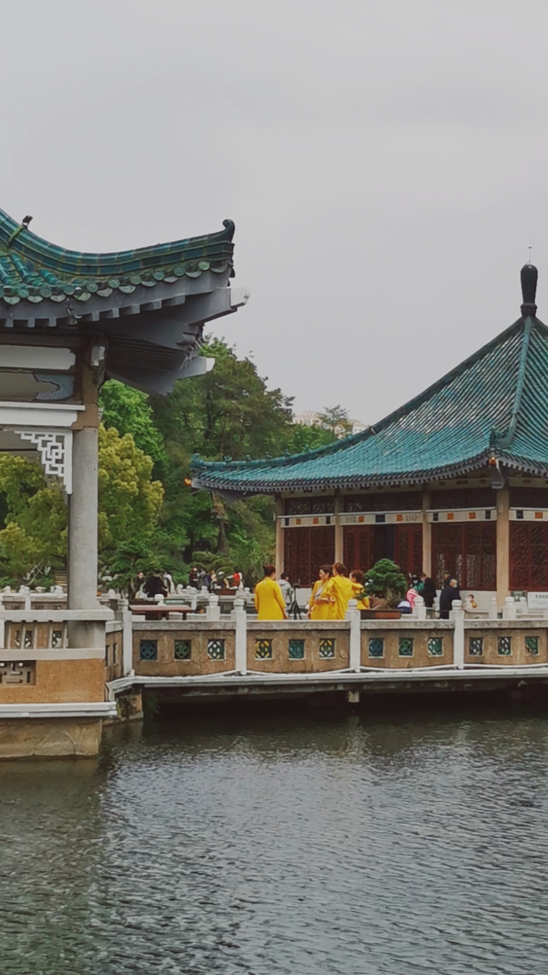 音为有你#东湖碧海观鱼景点风景如画.