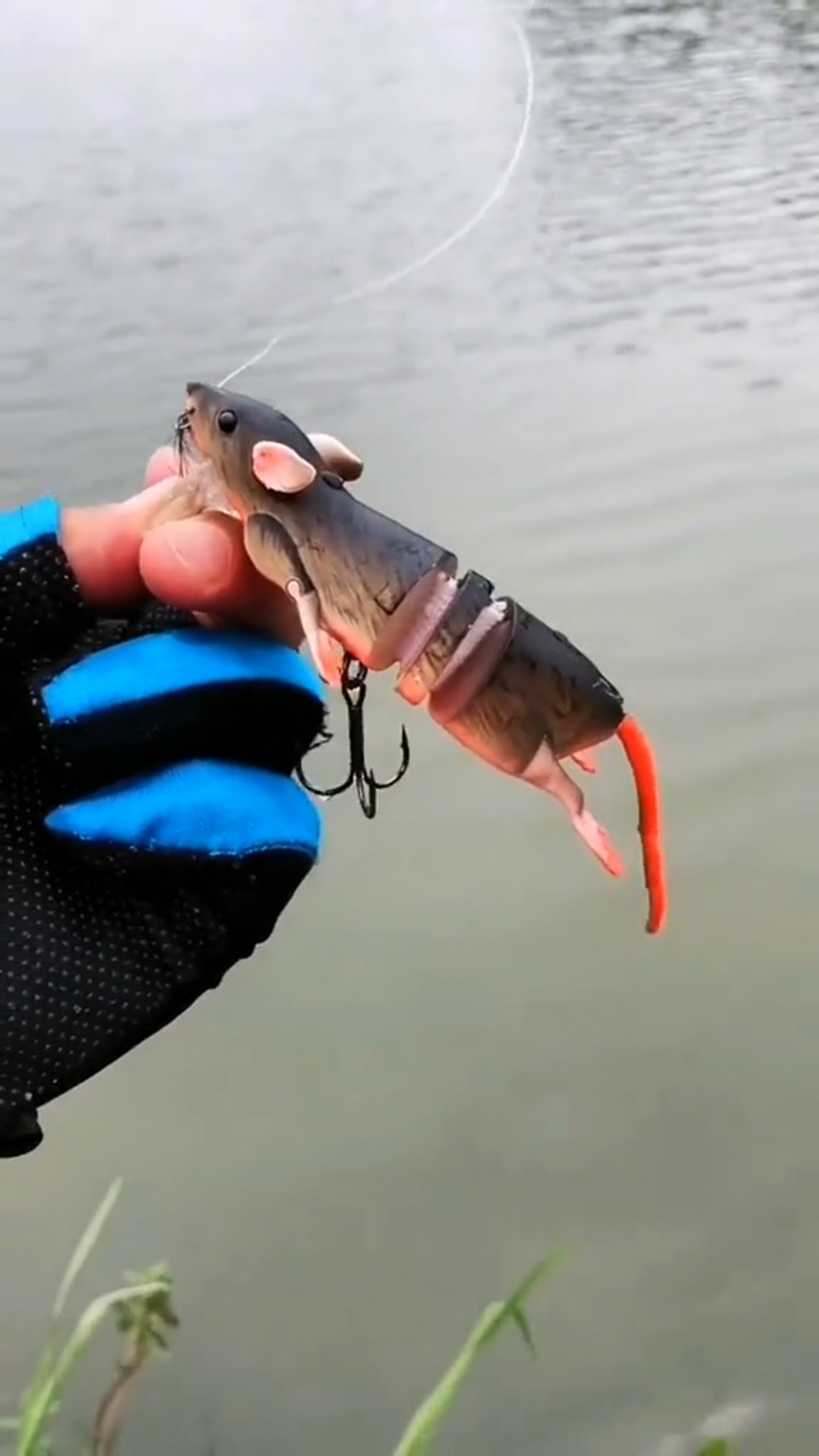 路亚#不知道有没有鱼喜欢吃老鼠的?