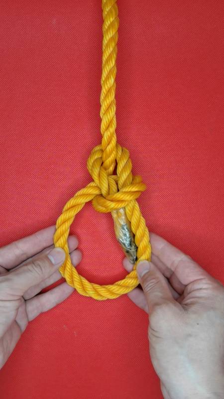实用绳结#绳结之王,称人结!