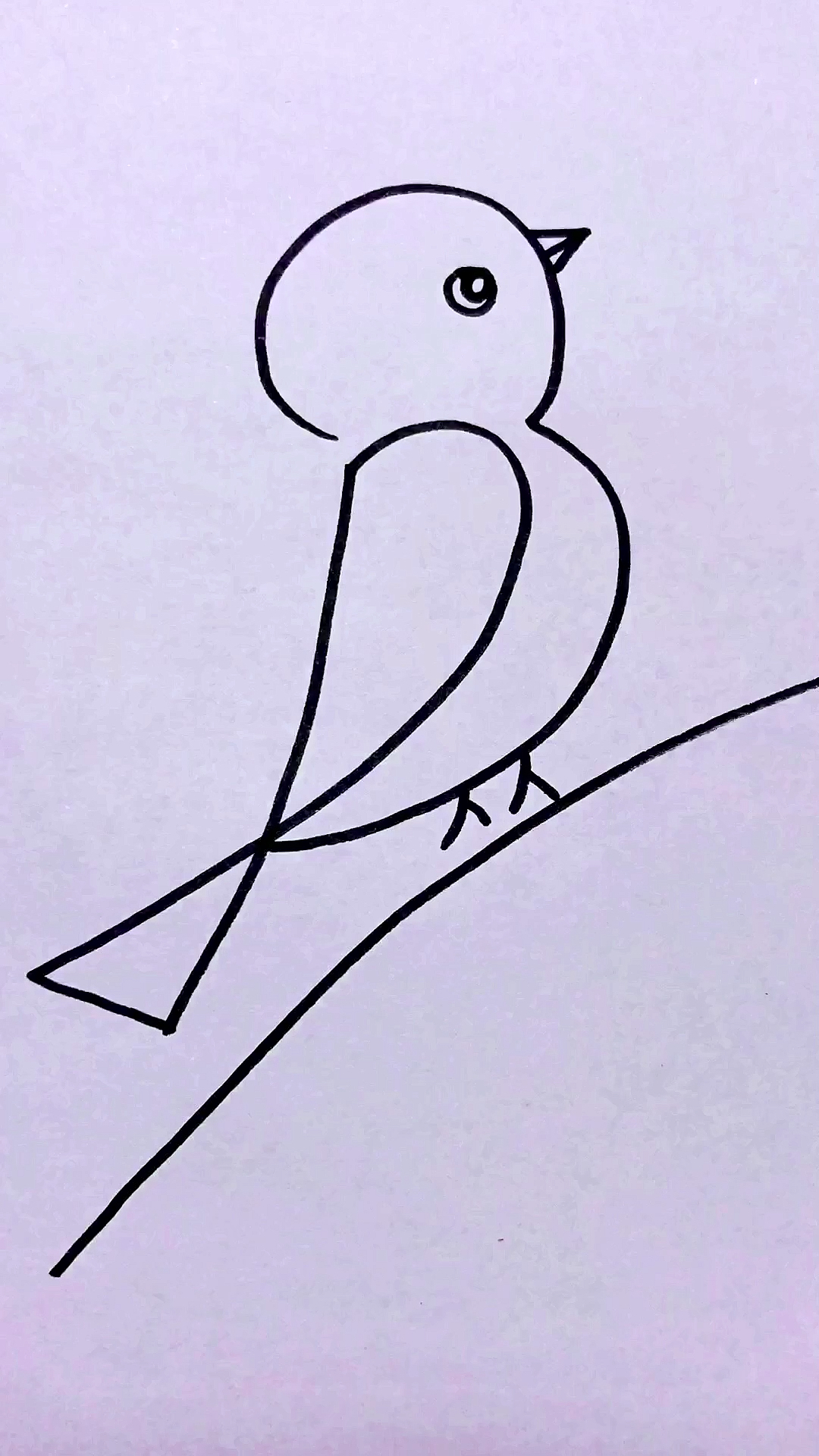 简笔画#123画小鸟