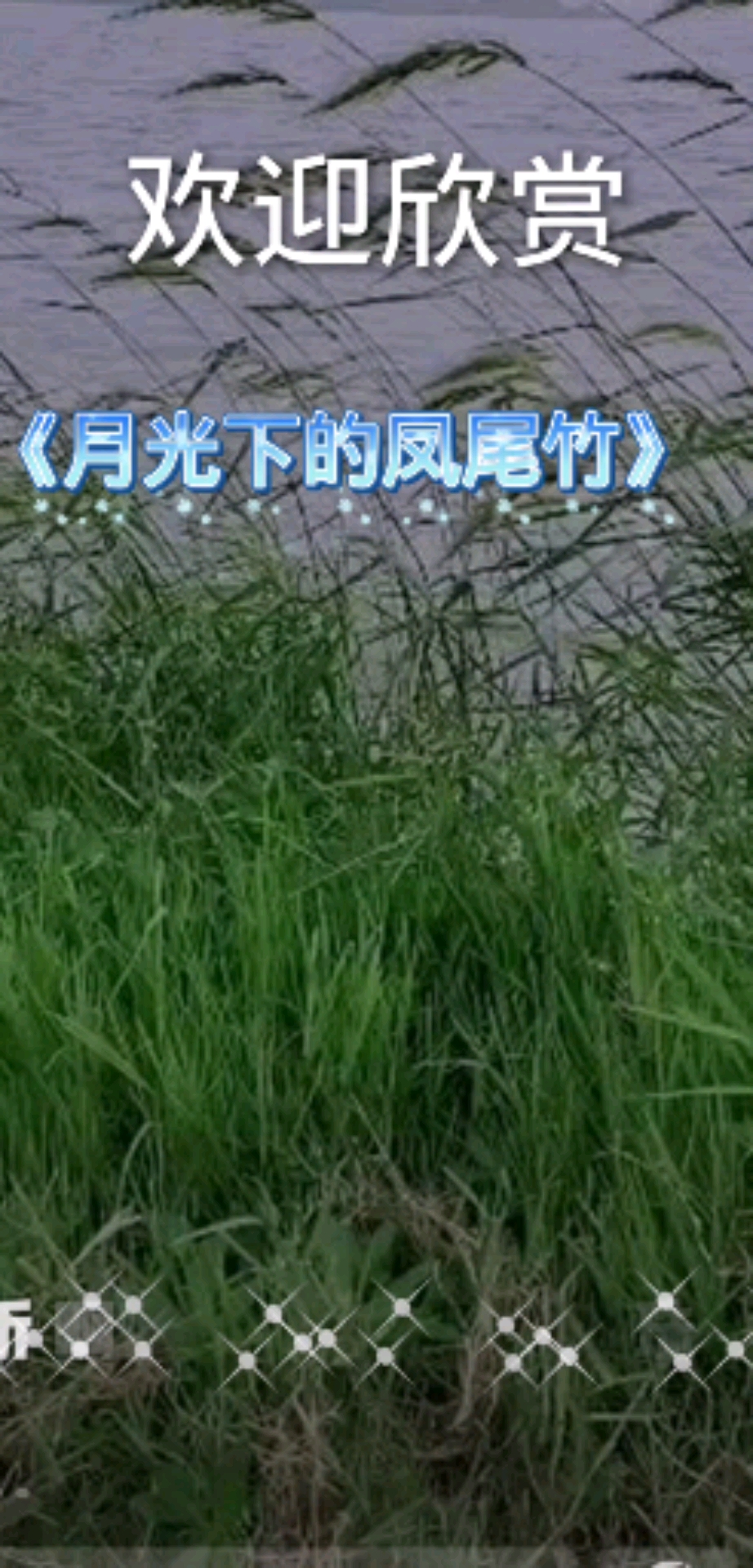民间歌声#《月光下的凤尾竹》(2)