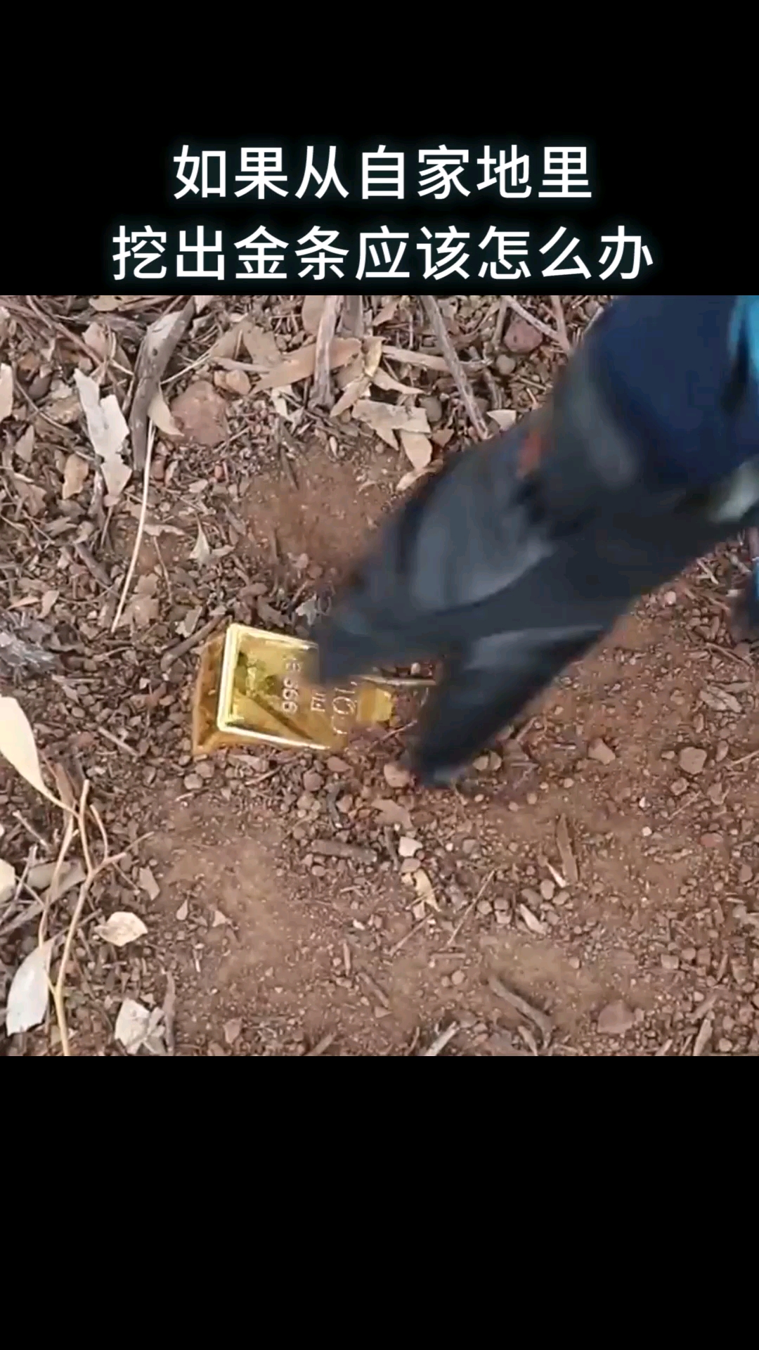 全民涨知识#如果从自家地里挖出金条应该怎么办?