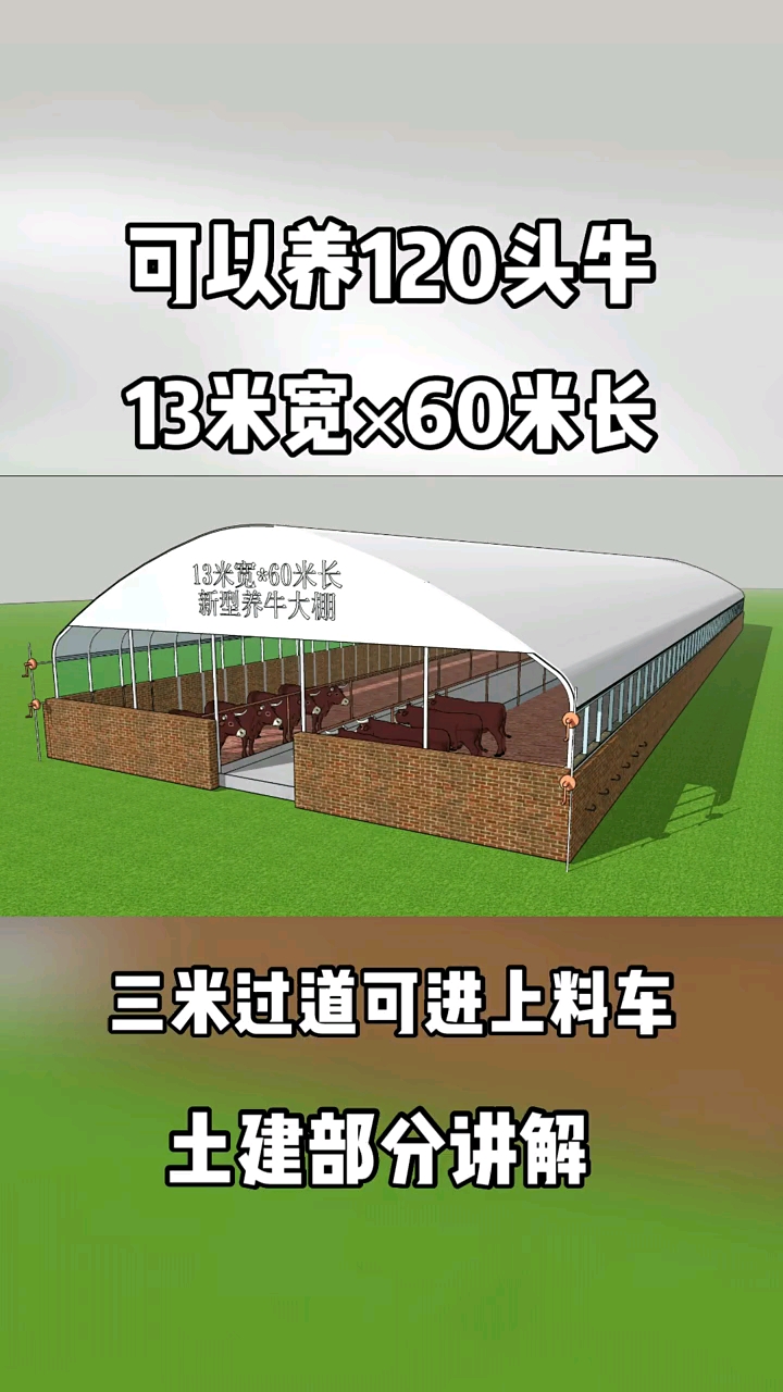 天津温室大棚宫宏宇#蒙古客户定做养牛大棚:新式养殖