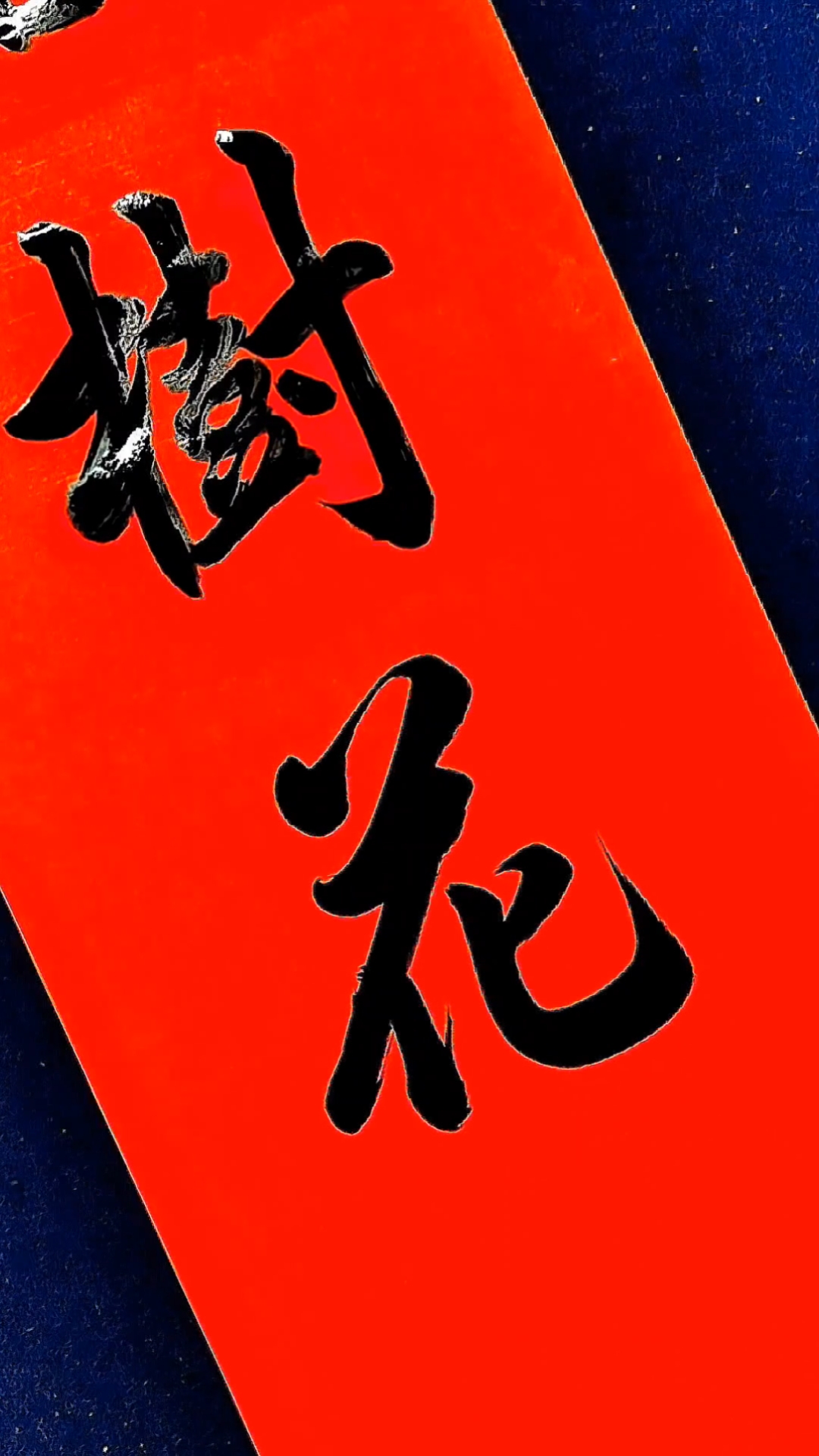 手写婚联#红妆带绾同心结碧树花开并蒂莲-度小视