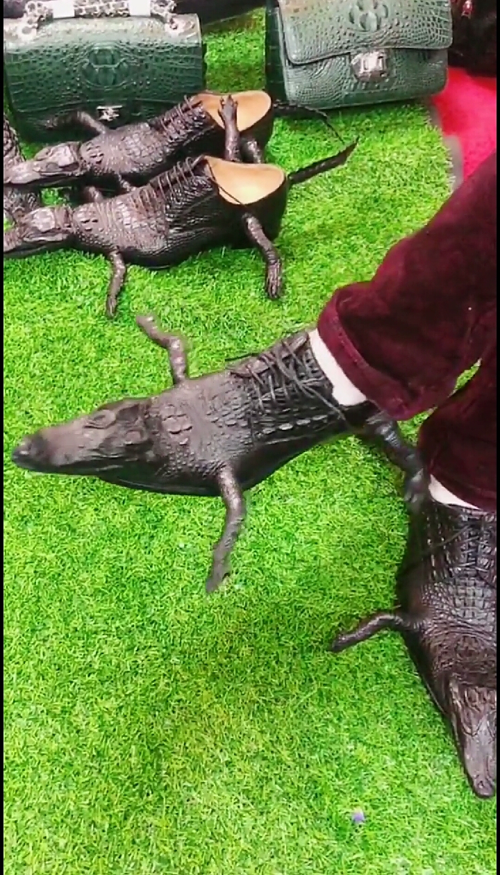 搞笑段子剧#这才是真正的鳄鱼皮鞋,这玩意穿起来不碍事吗?