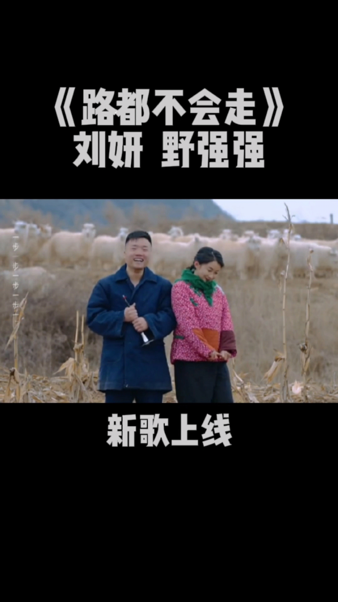 陕北民歌路都不会走刘妍野强强