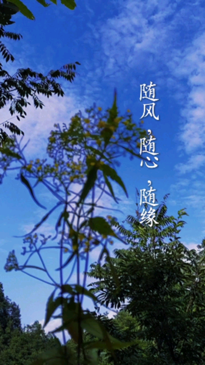 岁月静好#随风,随心,随缘