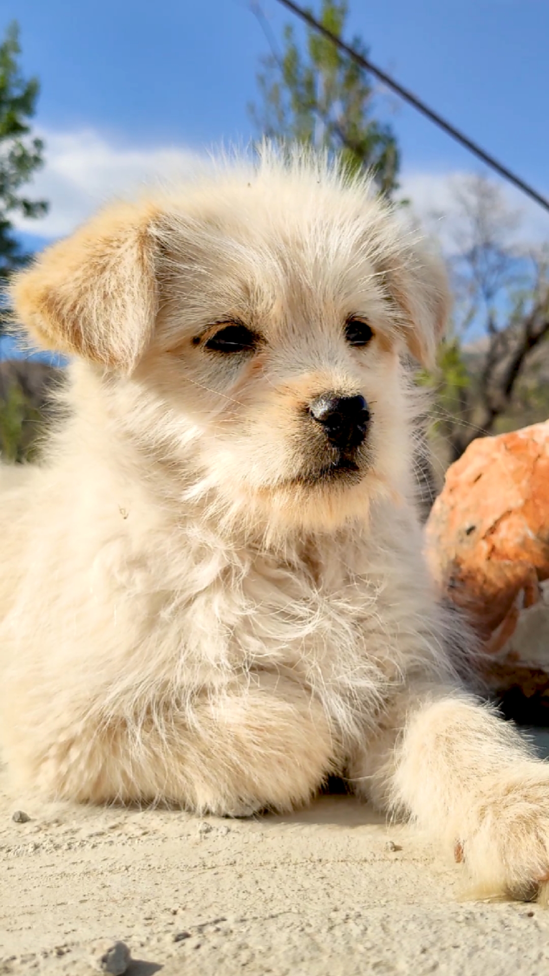 1080_1920竖版 竖屏