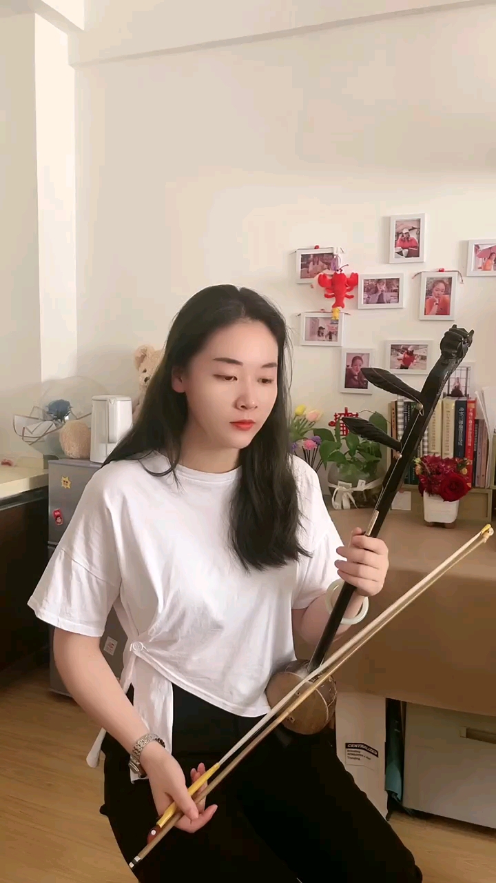 板胡灞桥柳李佳蓓板胡