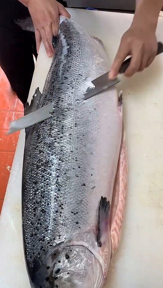 三文鱼#三文鱼去鱼鳞,这个手法大家看看怎么样?