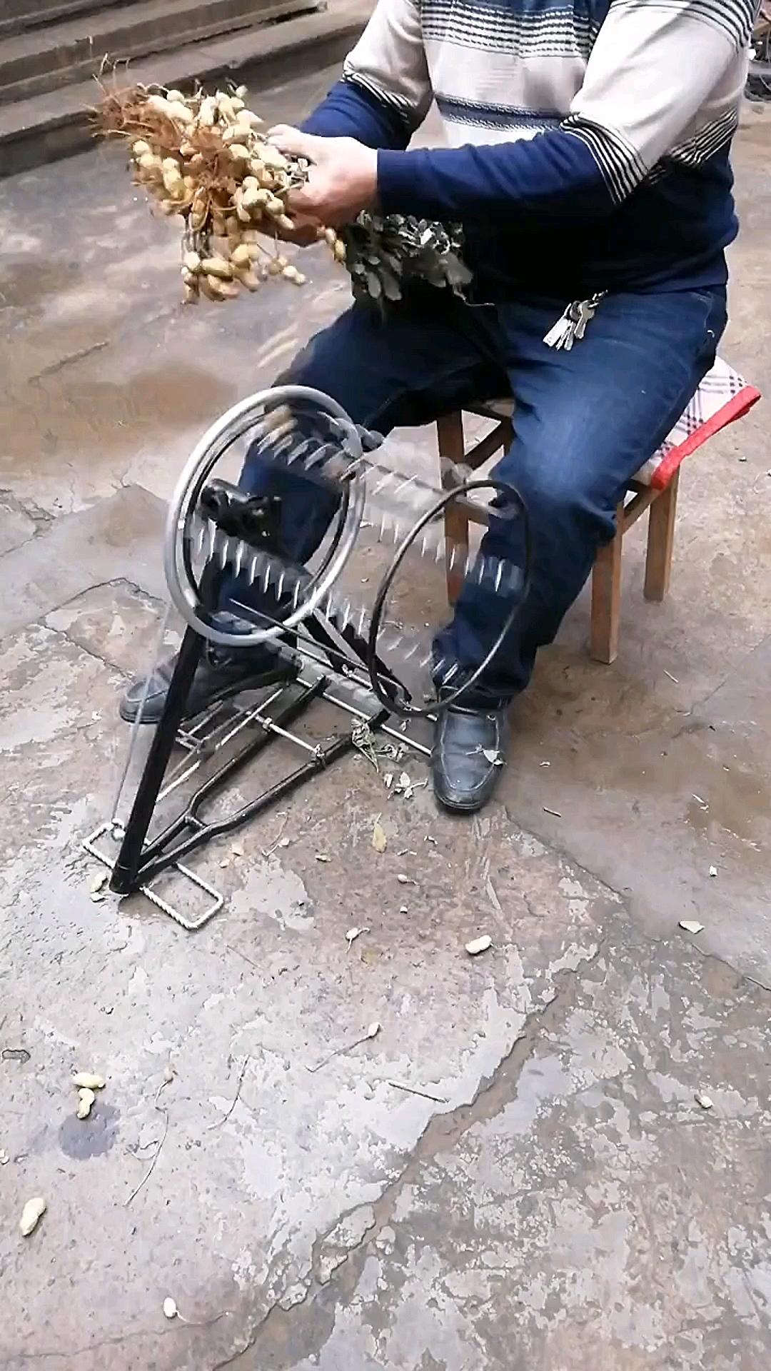 摘花生神器#自制摘花生神器