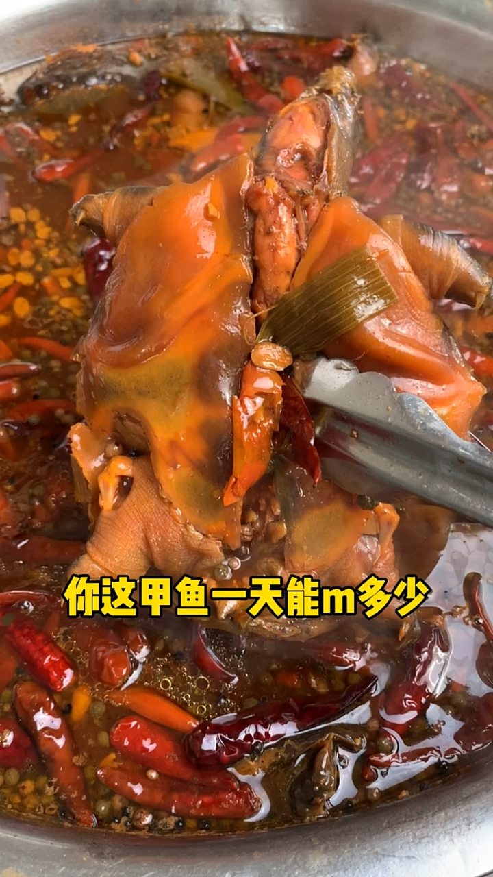 这个麻辣甲鱼轻松,我自己都能忙过来了