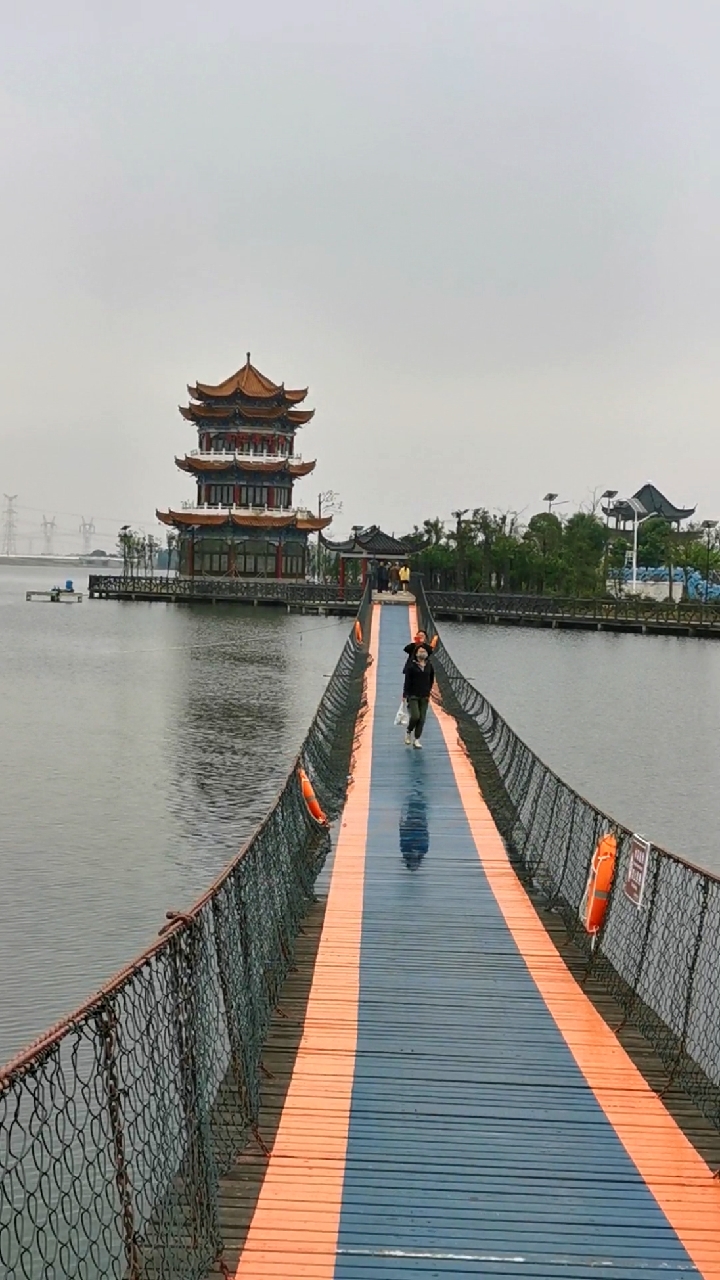 月兔出逃#孝感.天紫湖风光