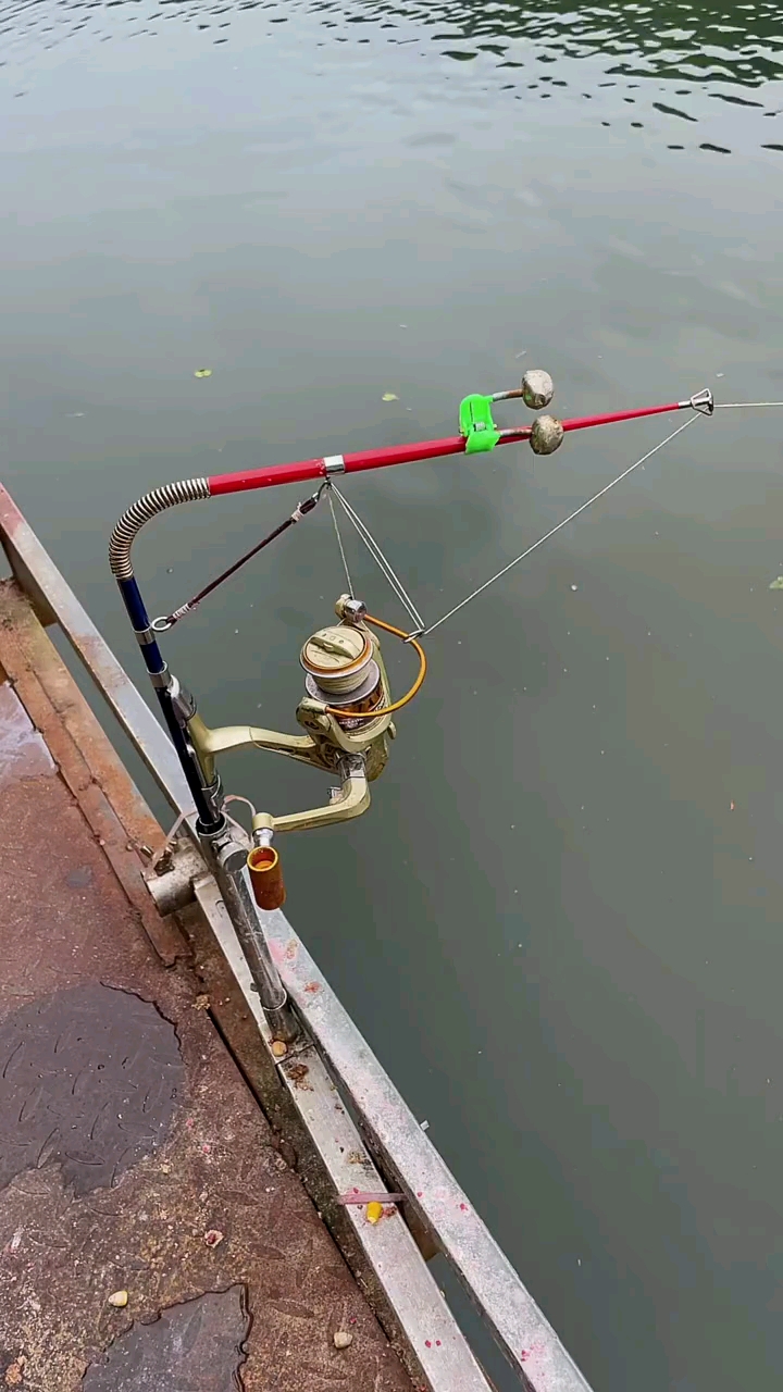 这自动钓鱼竿真是够牛叉的吧!