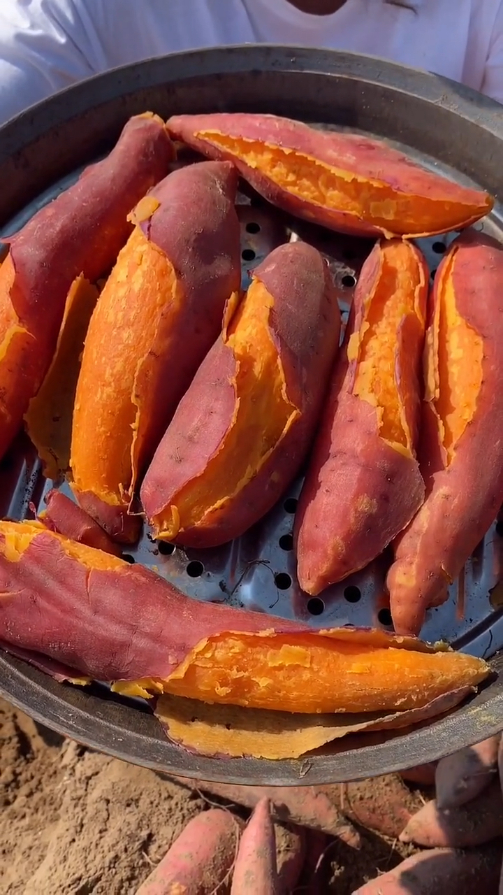 沙地西瓜红蜜薯#个个开花爆皮香甜软糯-度小视