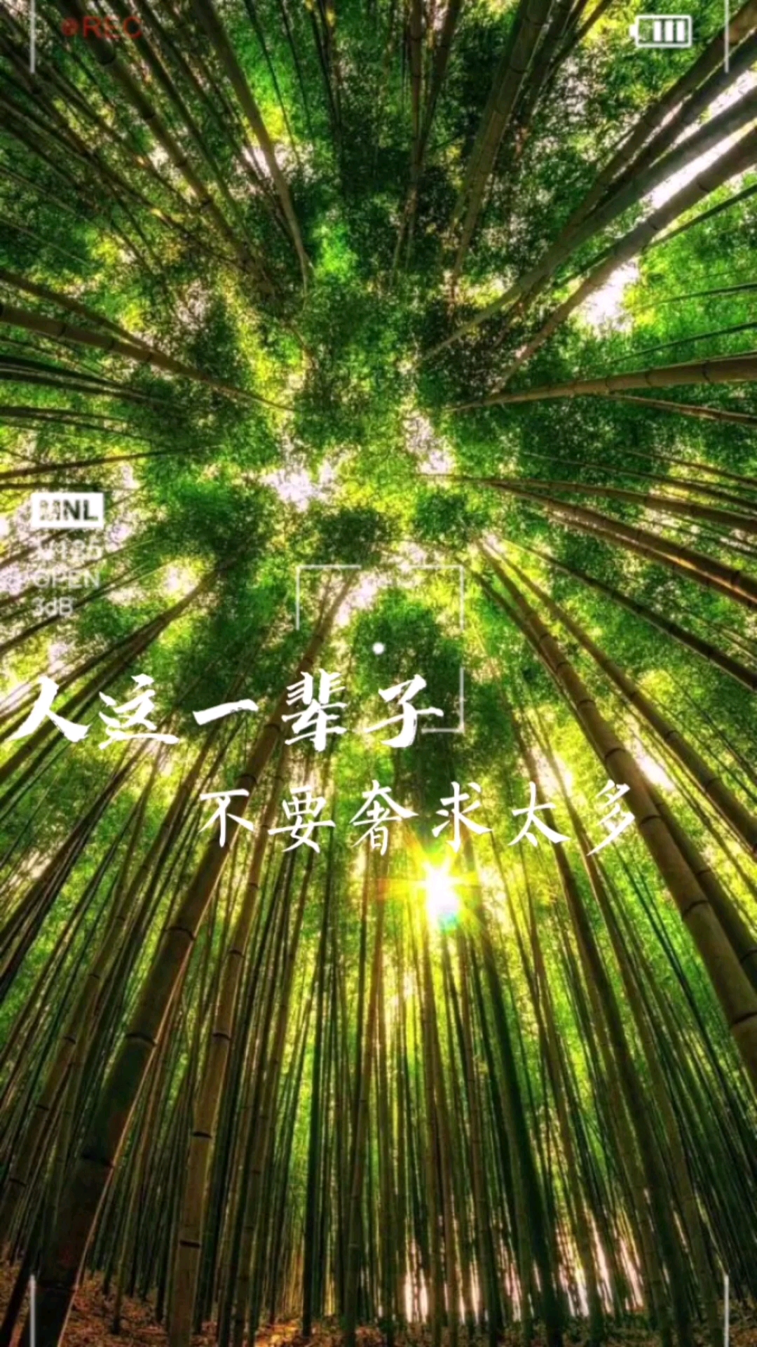 人这一辈子,不要奢求太多