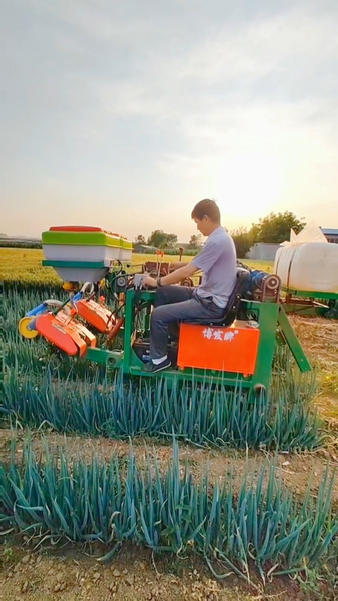 多功能大葱培土机#履带乘坐式大葱双行培土中耕机,可以实现双行培土