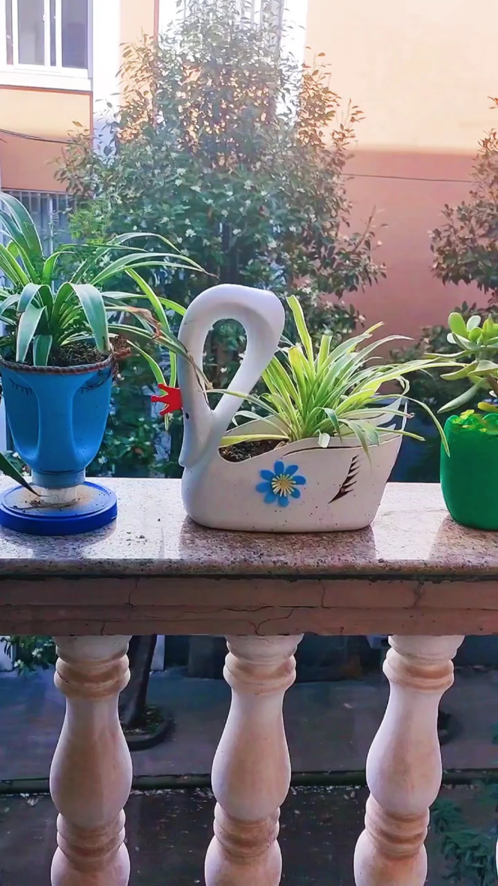 变废为宝#洗衣液瓶做的一部分鹅花盆,最喜欢哪款呢?